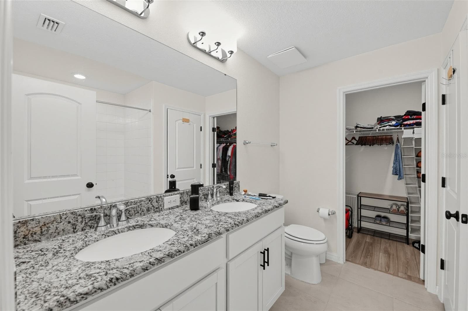 Primary Bathroom and walk-in closet - 11728 FIRESPIKE ST, RIVERVIEW