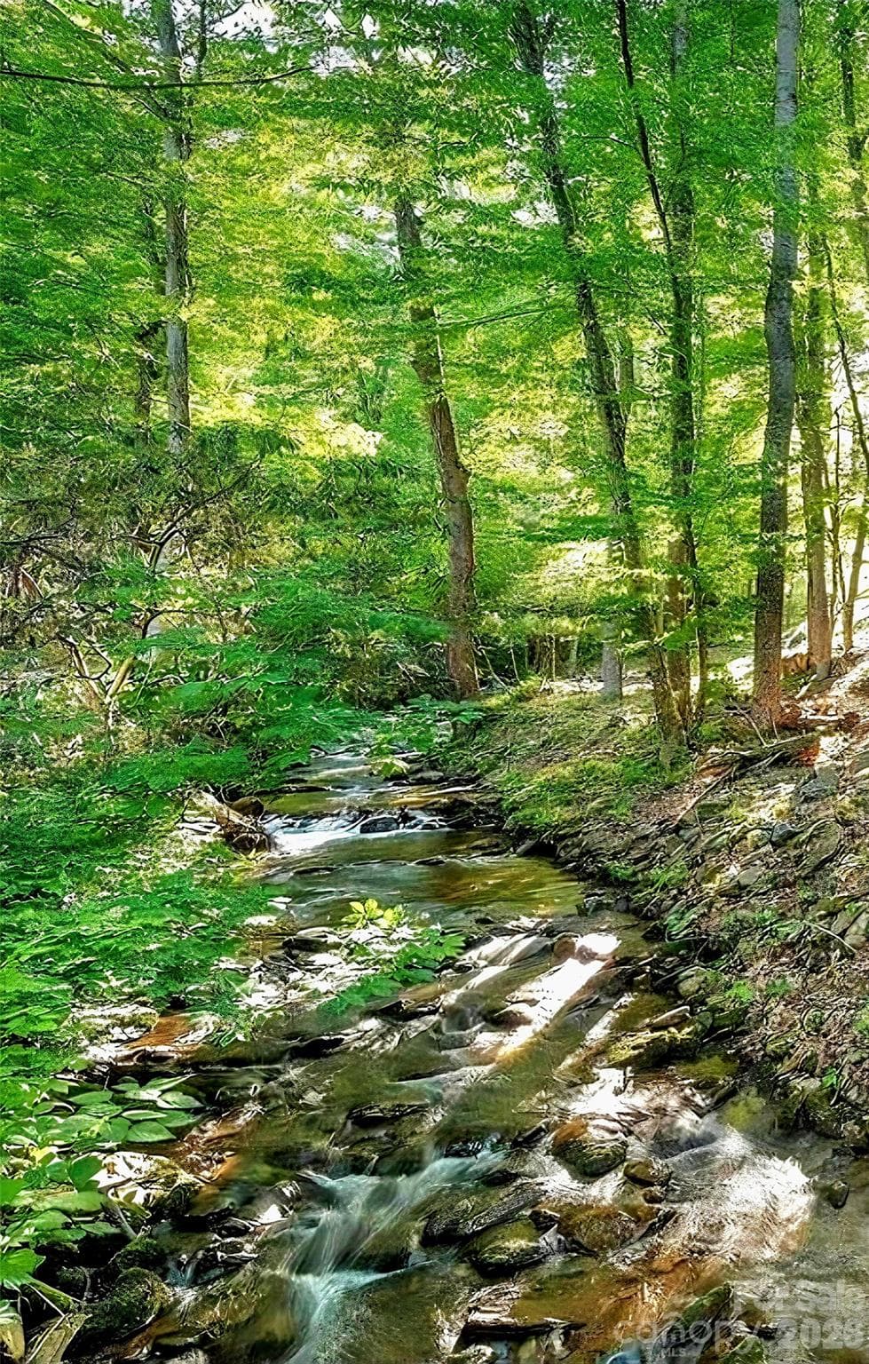 Streaming in the Spring - 174 Nix Creek Road, Canton
