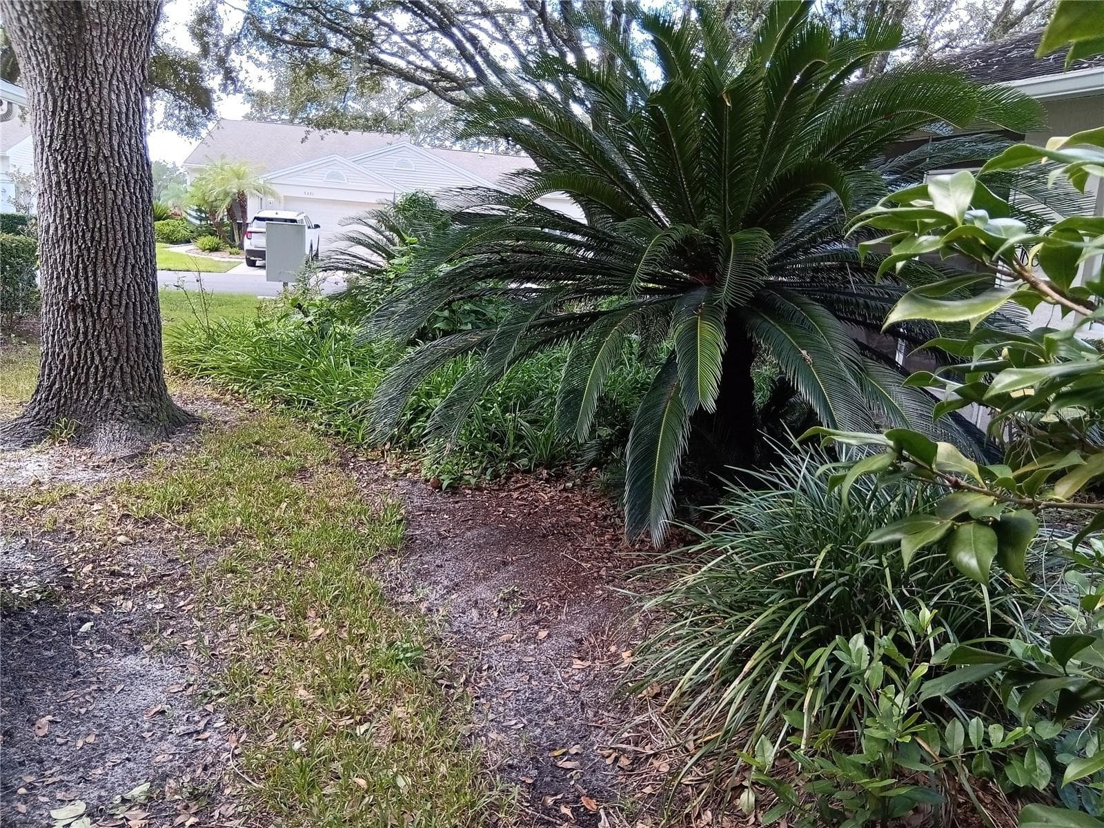 Garden behind your back screen porch-no mosquitos - 5316 LOCHMEAD TER, ZEPHYRHILLS