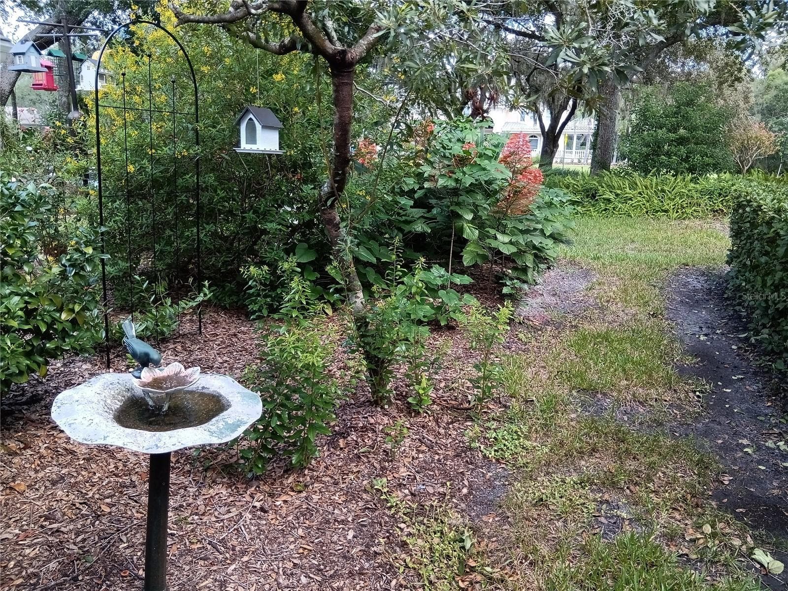Feed the birds in your garden - 5316 LOCHMEAD TER, ZEPHYRHILLS