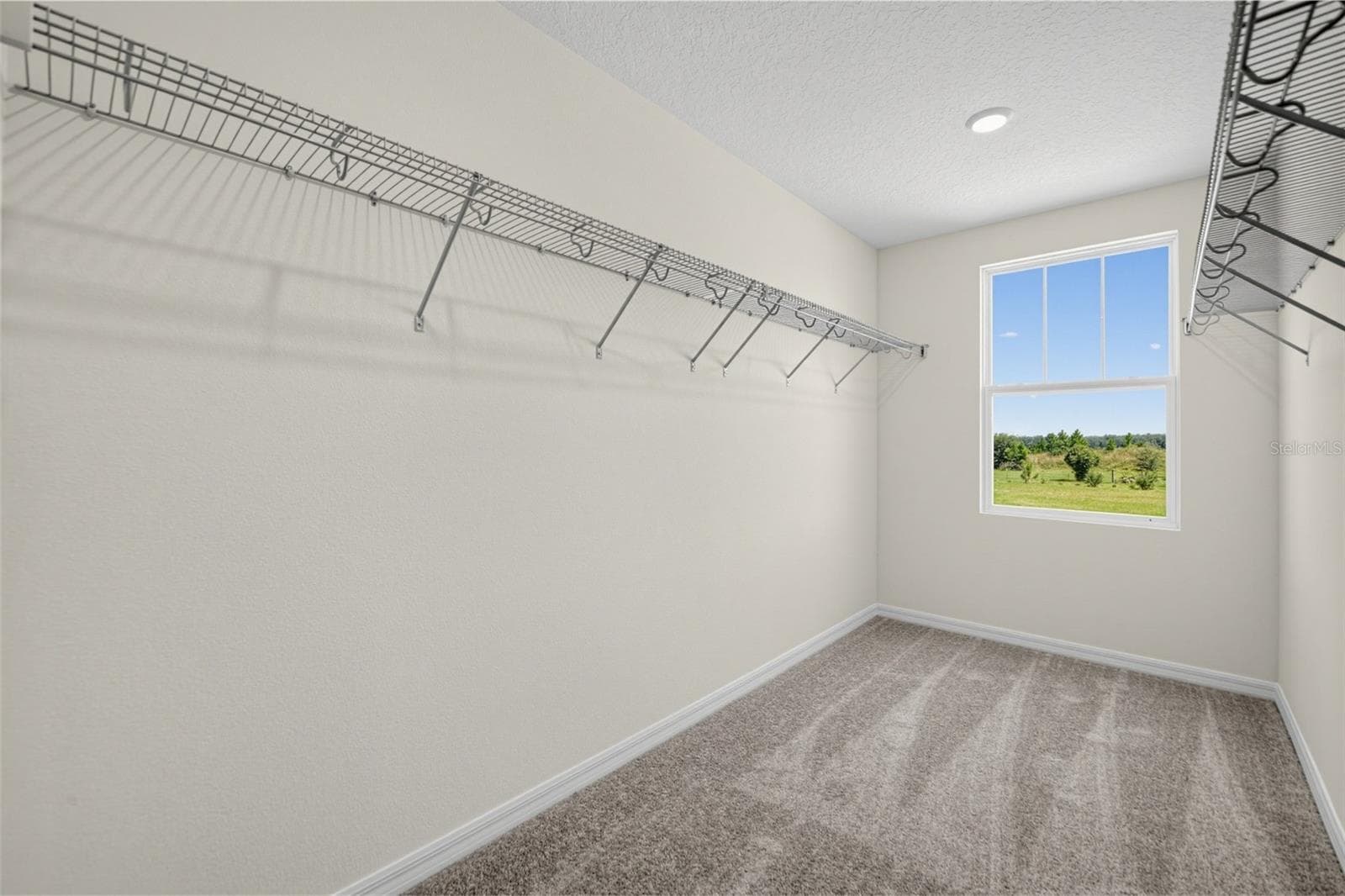 Single Family Residence at 30161 EMERALD FOREST DR, MOUNT DORA, photo 40 of 46