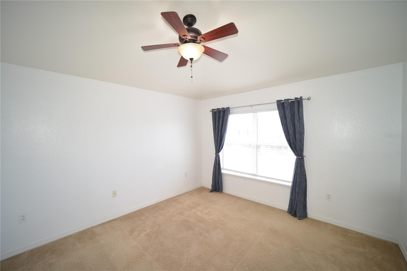 Primary Bedroom - 2328 TANBARK RIDGE PL, PLANT CITY