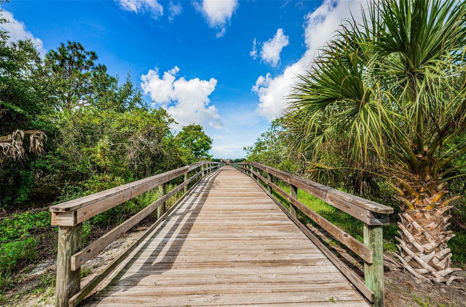 Boardwalk and dock to lake - 2966 HILLCREEK CIR S, CLEARWATER