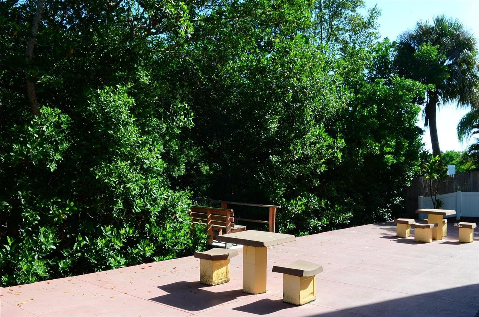 recreation area - 4435 1ST ST NE #111, ST PETERSBURG