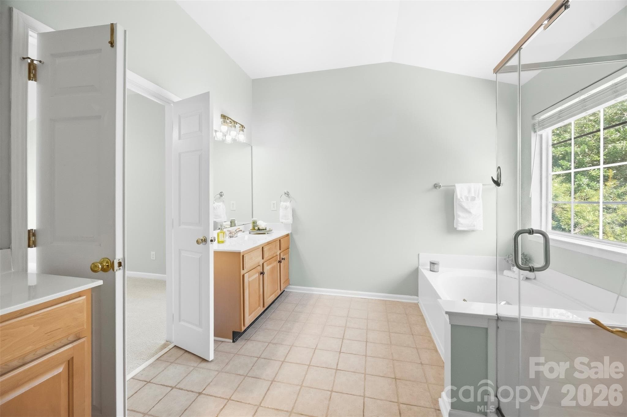 Primary en-suite bathroom - 8709 Ellington Park Drive, Charlotte