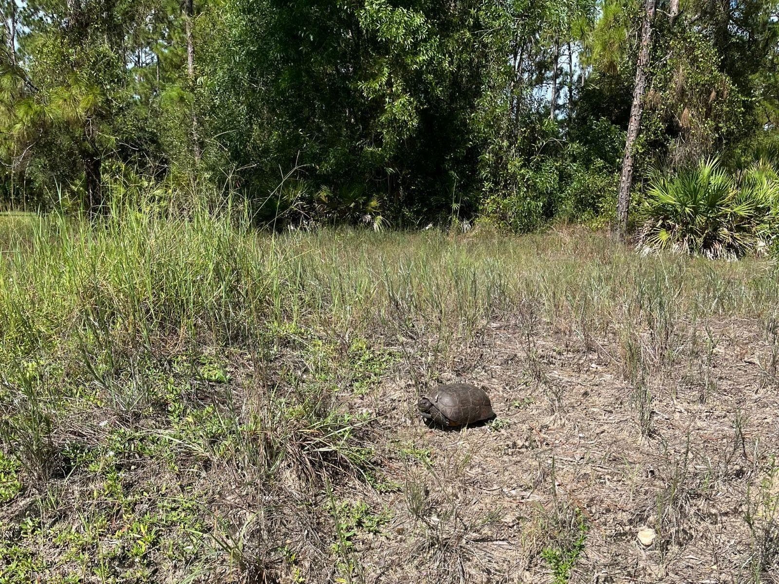 VACANT LOT - 12 MONROE AVE, LEHIGH ACRES