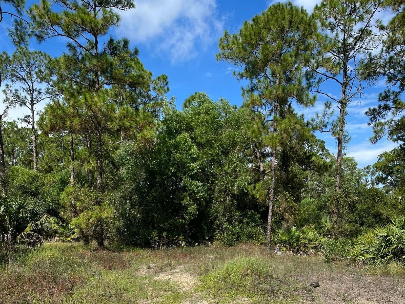 VACANT LOT - 12 MONROE AVE, LEHIGH ACRES