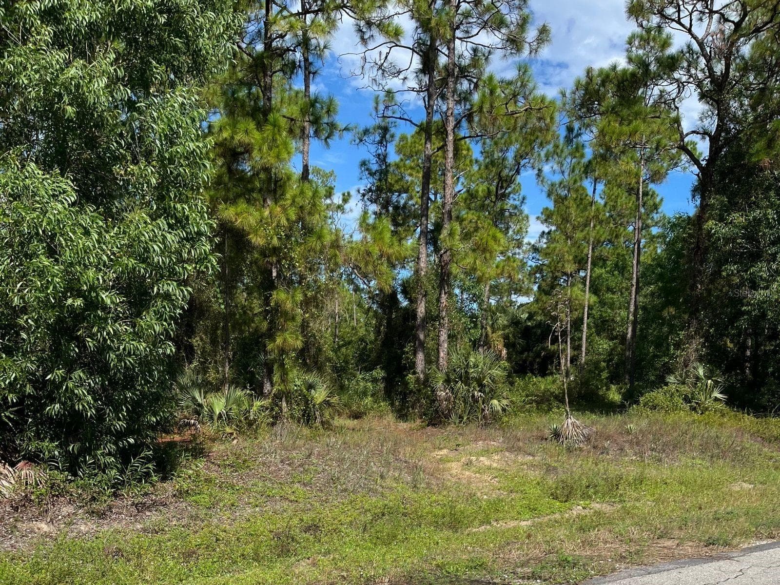 LOT VIEW FROM ROAD - 12 MONROE AVE, LEHIGH ACRES