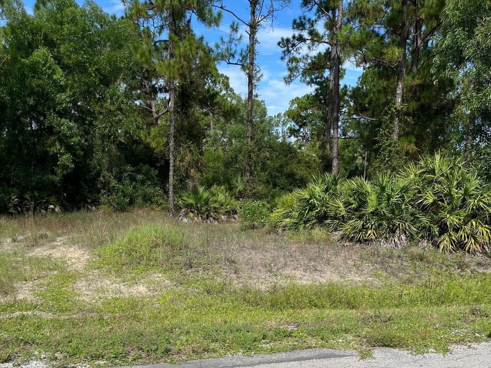 LOT VIEW - 12 MONROE AVE, LEHIGH ACRES