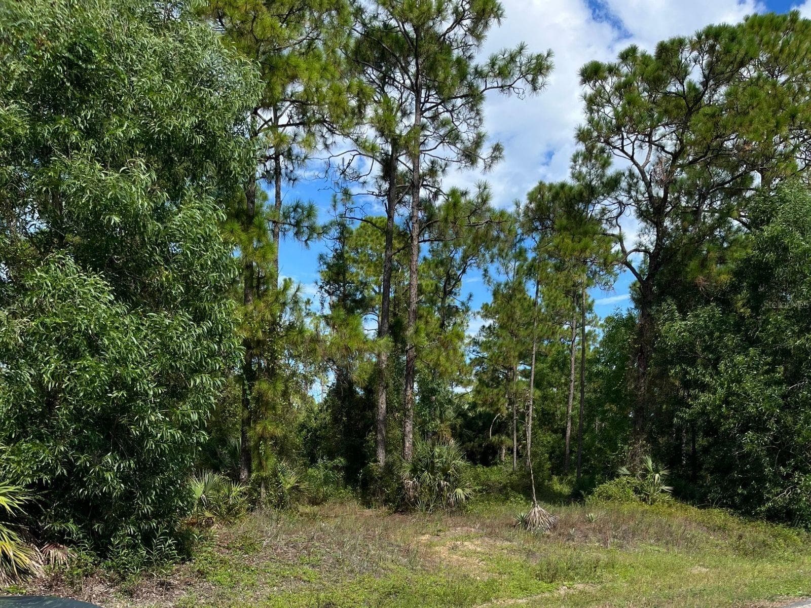 LOT VIEW - 12 MONROE AVE, LEHIGH ACRES