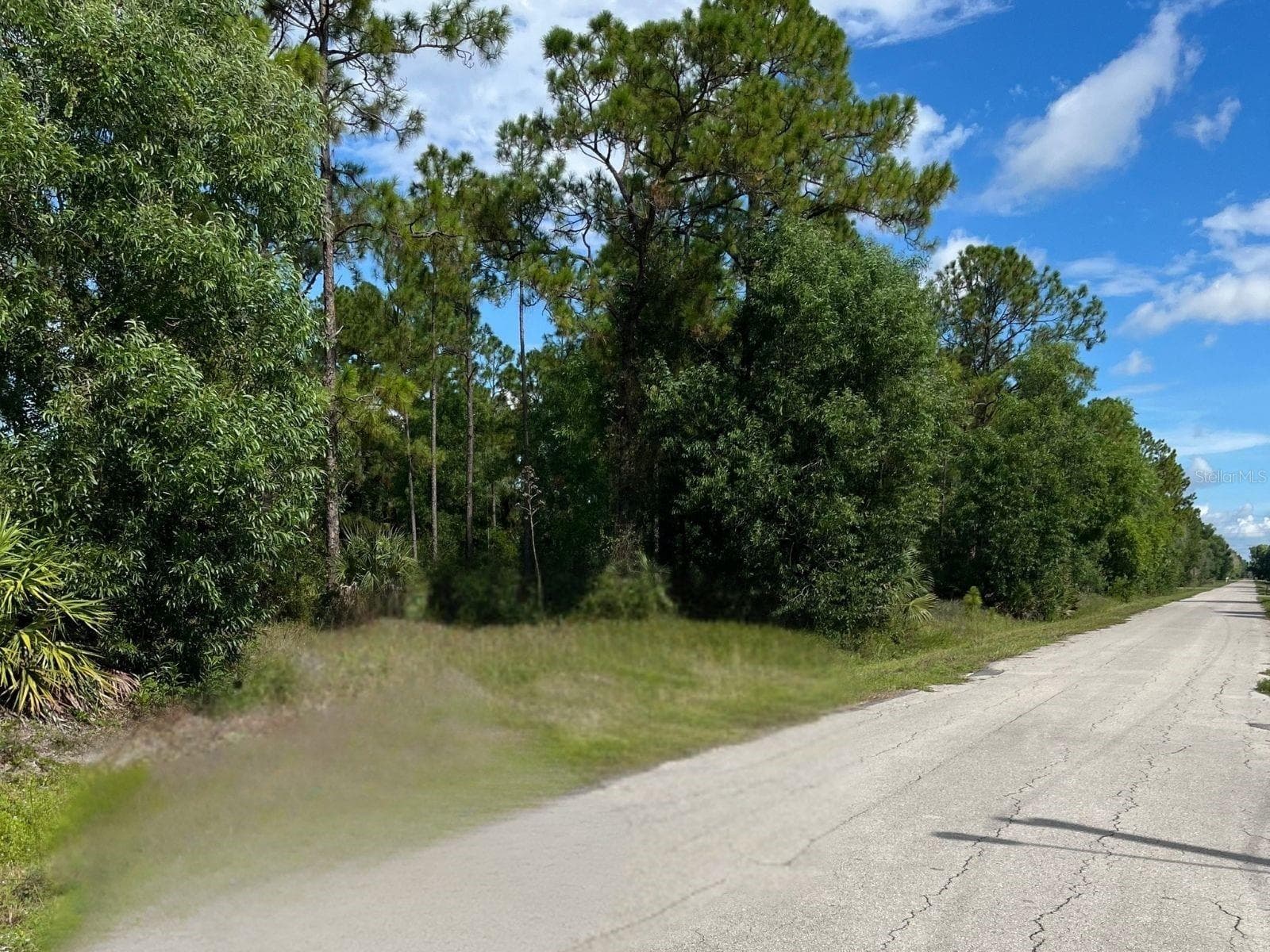 LOT VIEW - 12 MONROE AVE, LEHIGH ACRES