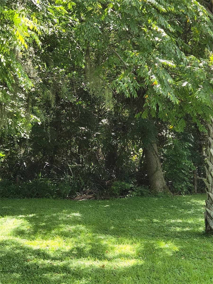 Land at DUTTON AVE, DELAND, photo 2 of 6