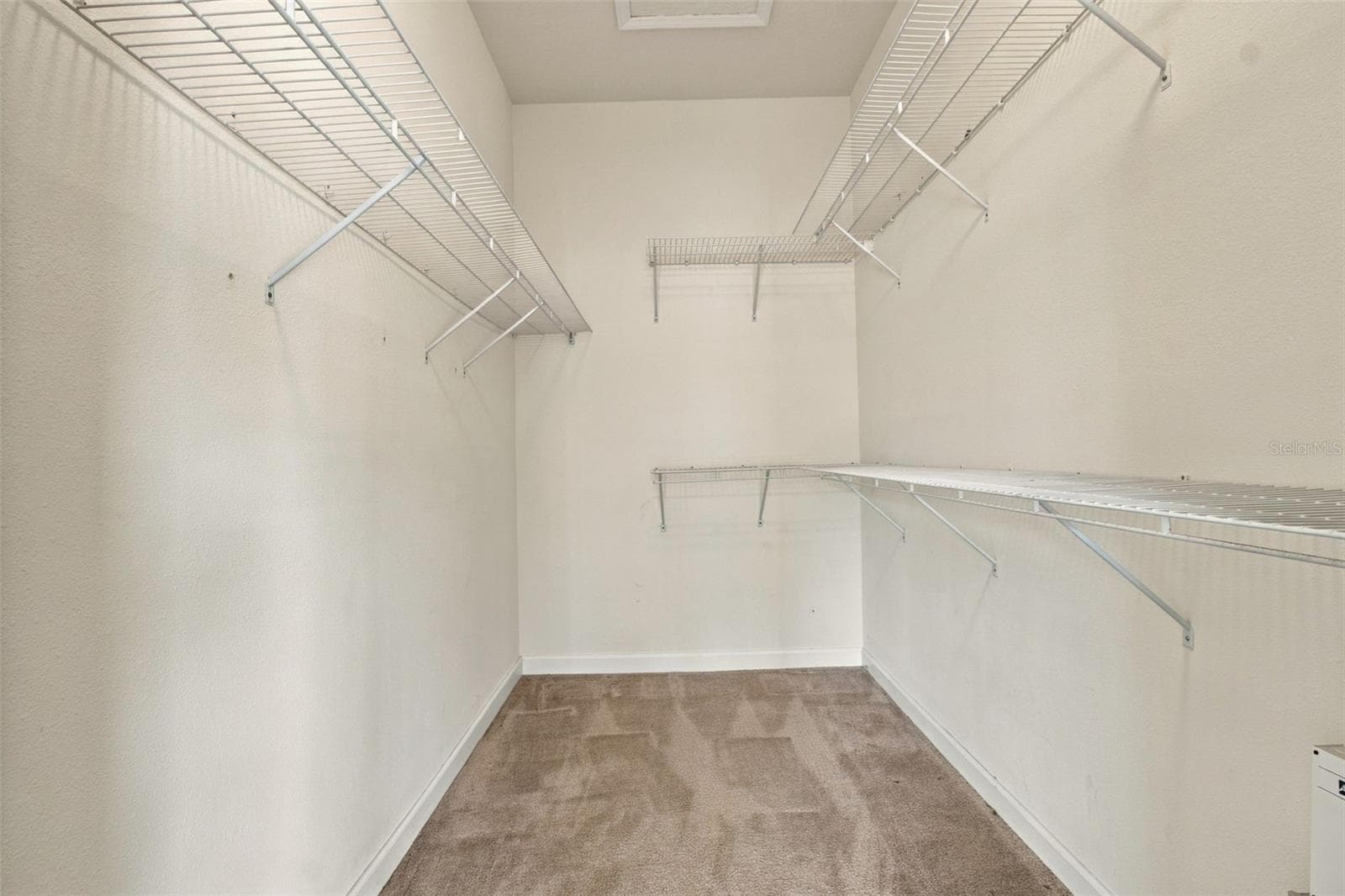 You will enjoy your walk in closet with plenty of storage. - 1301 FOX CHAPEL DR, LUTZ