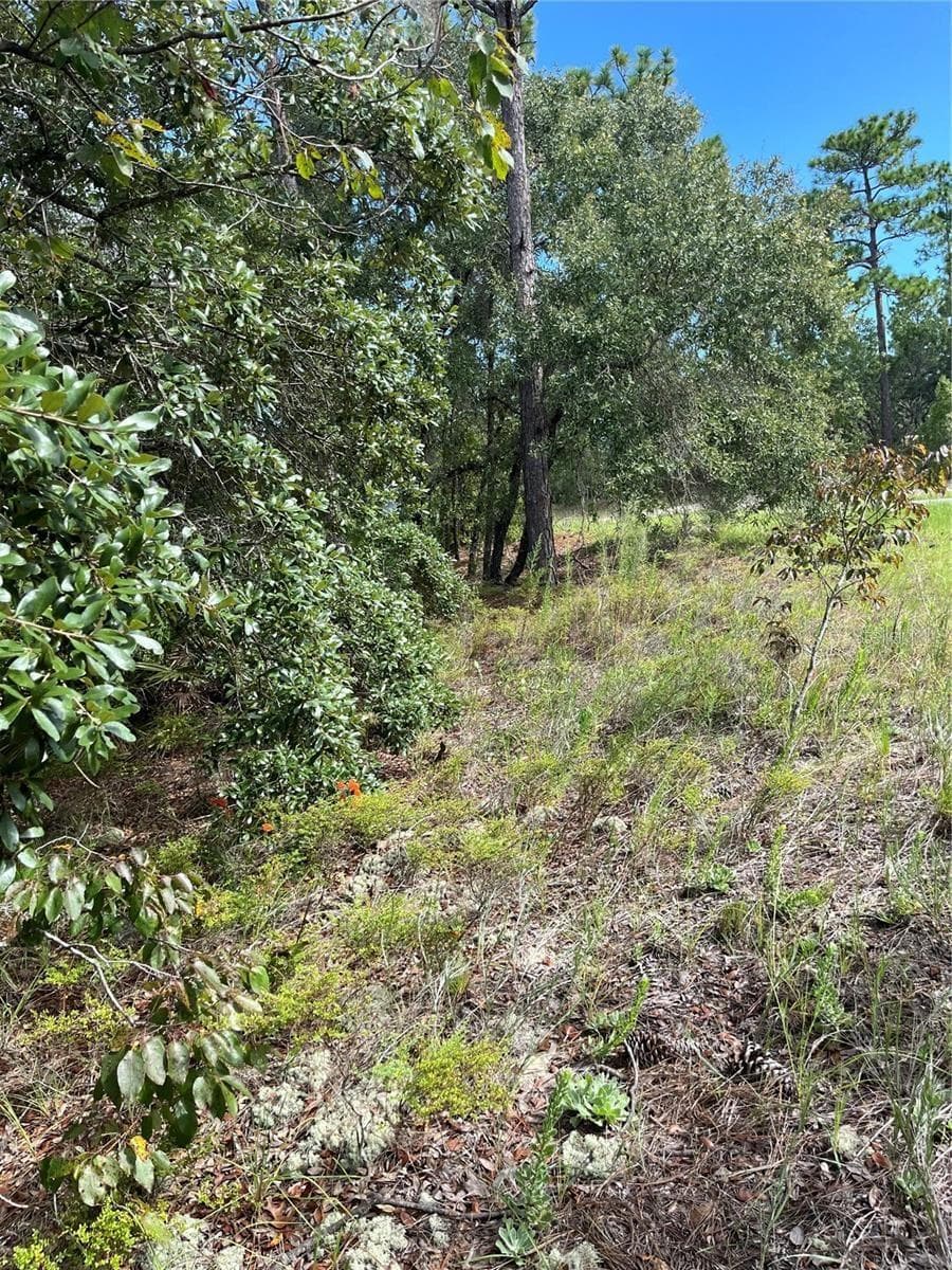 Land at 1830 W STANTON DR, DUNNELLON, photo 5 of 11