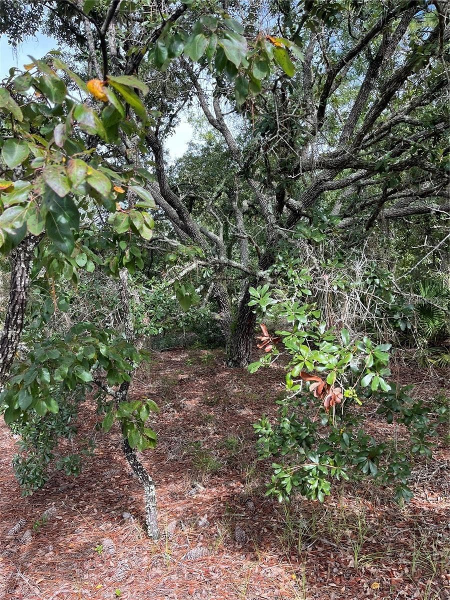 Land at 1830 W STANTON DR, DUNNELLON, photo 6 of 11