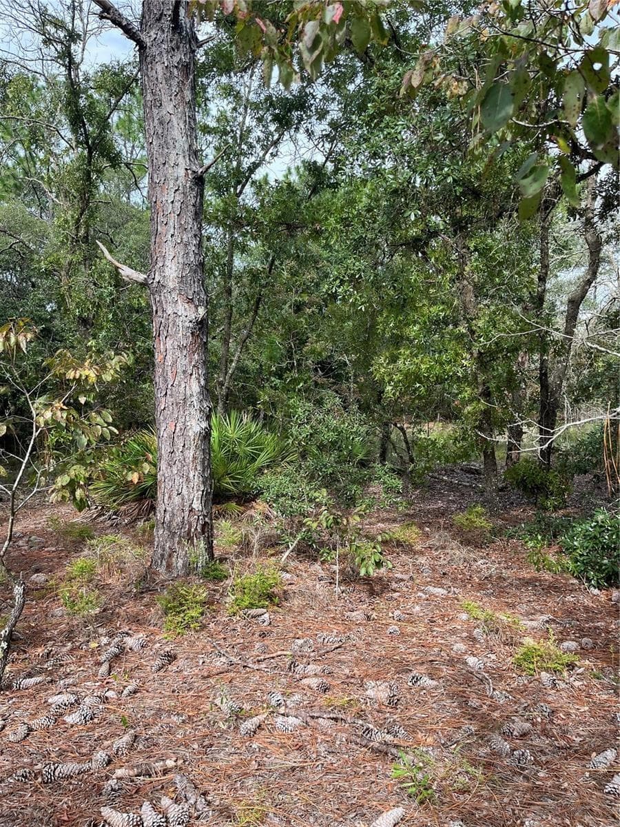 Land at 1830 W STANTON DR, DUNNELLON, photo 7 of 11