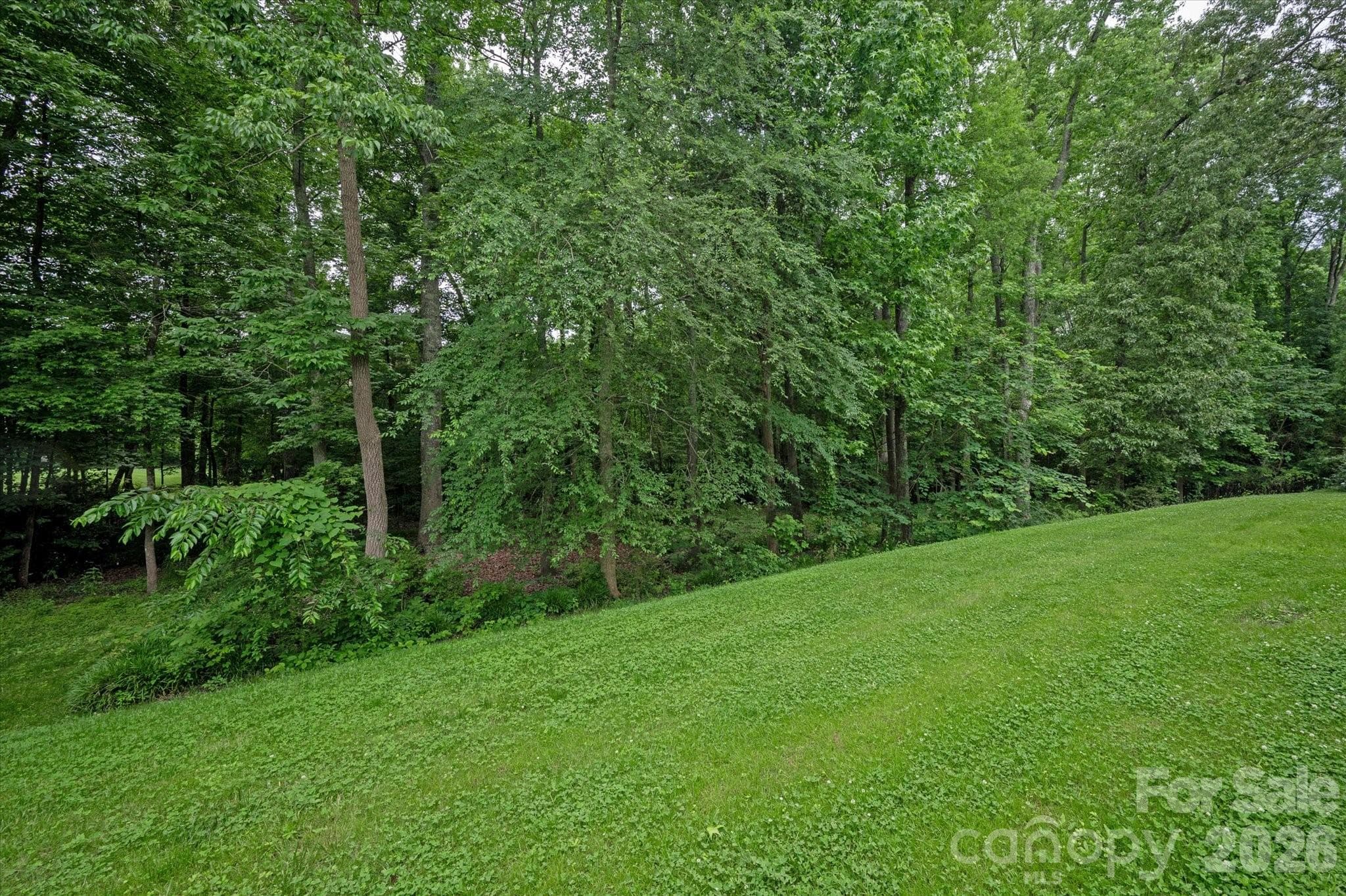 Single Family Residence at 409 Running Horse Lane, Waxhaw, photo 31 of 35