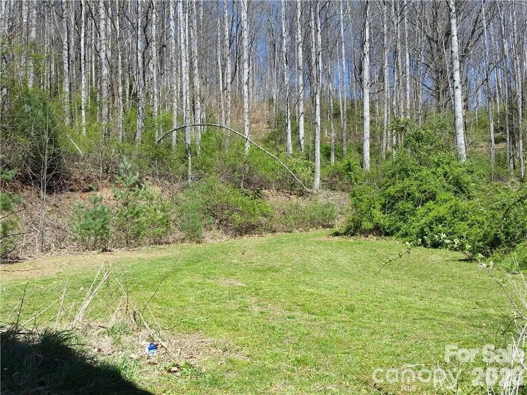 Lot at 31 Mistletoe Ridge, Waynesville, photo 6 of 27