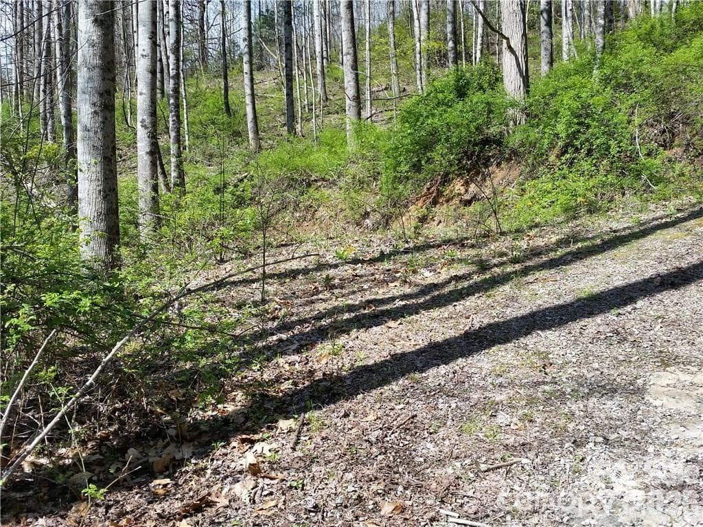 Lot at 31 Mistletoe Ridge, Waynesville, photo 9 of 27
