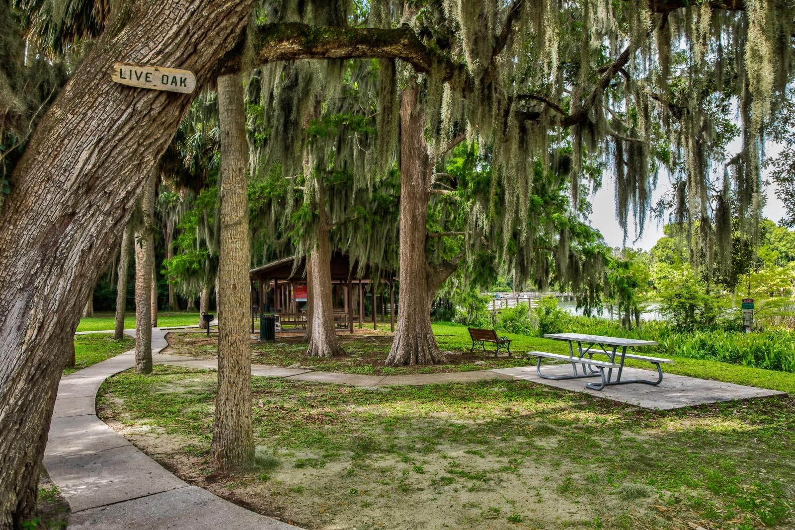 Condominium at 101 N GRANDVIEW ST #111, MOUNT DORA, photo 57 of 59