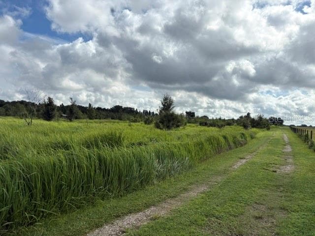 Land at WALTER HUNTER RD #Lot 1, LITHIA, photo 2 of 9