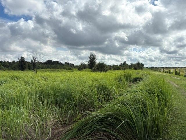 Land at WALTER HUNTER RD #Lot 1, LITHIA, photo 3 of 9