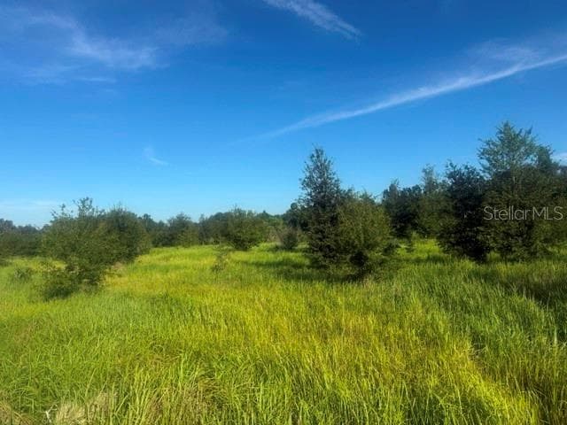 Land at WALTER HUNTER RD #Lot 1, LITHIA, photo 4 of 9
