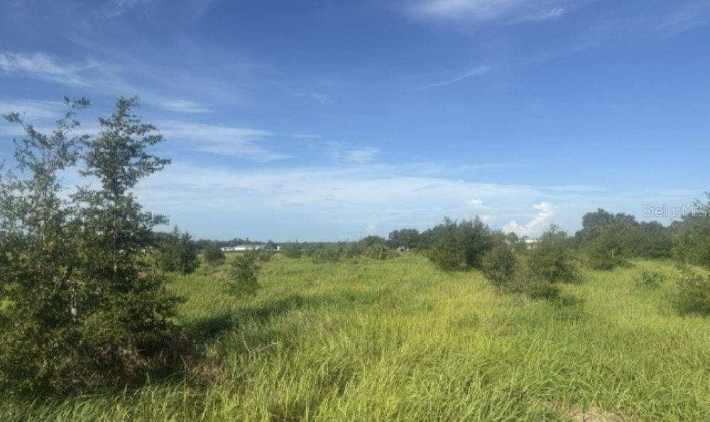 Land at WALTER HUNTER RD #Lot 1, LITHIA, photo 6 of 9