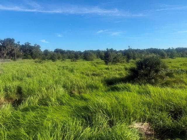 Land at WALTER HUNTER RD #Lot 1, LITHIA, photo 7 of 9