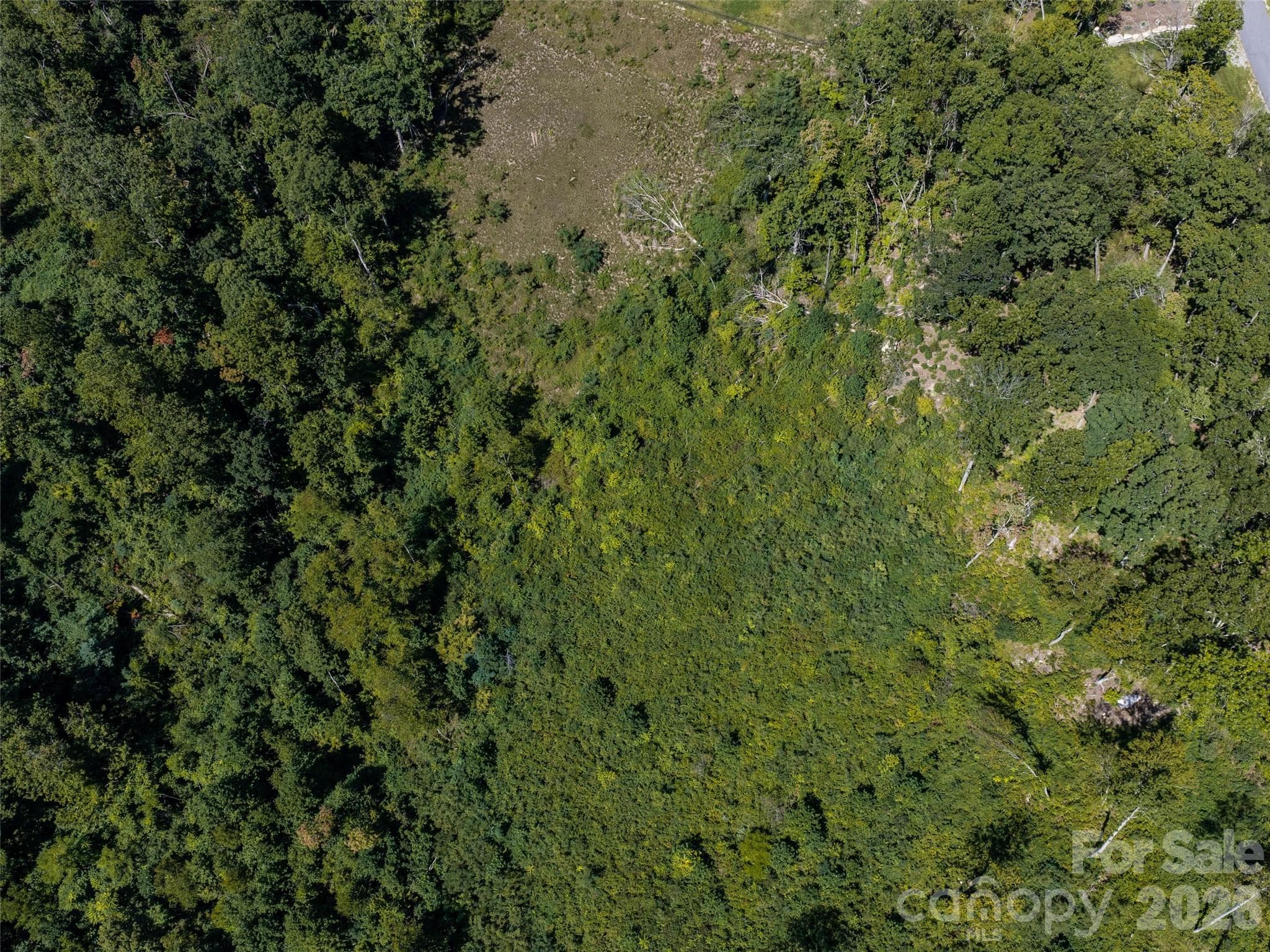 Lot at 462 E Garden Trail, Hendersonville, photo 7 of 23