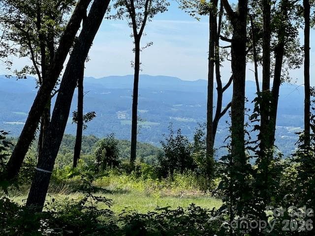 South Facing long range view - 462 E Garden Trail, Hendersonville