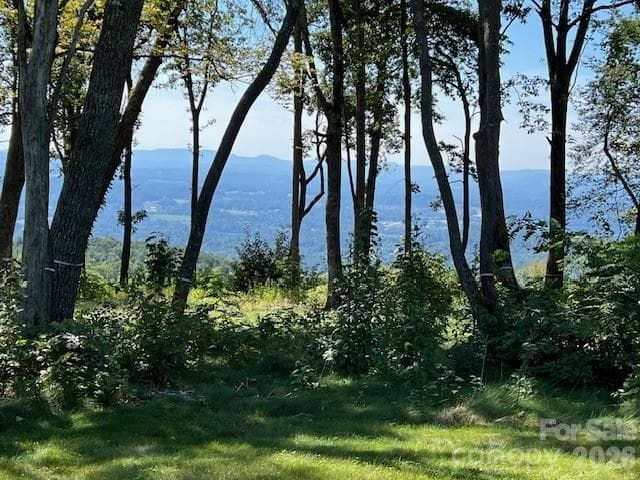Lot at 462 E Garden Trail, Hendersonville, photo 10 of 23