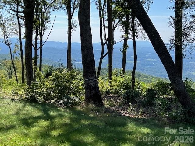 Lot at 462 E Garden Trail, Hendersonville, photo 11 of 23