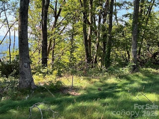 Flat topography - 462 E Garden Trail, Hendersonville