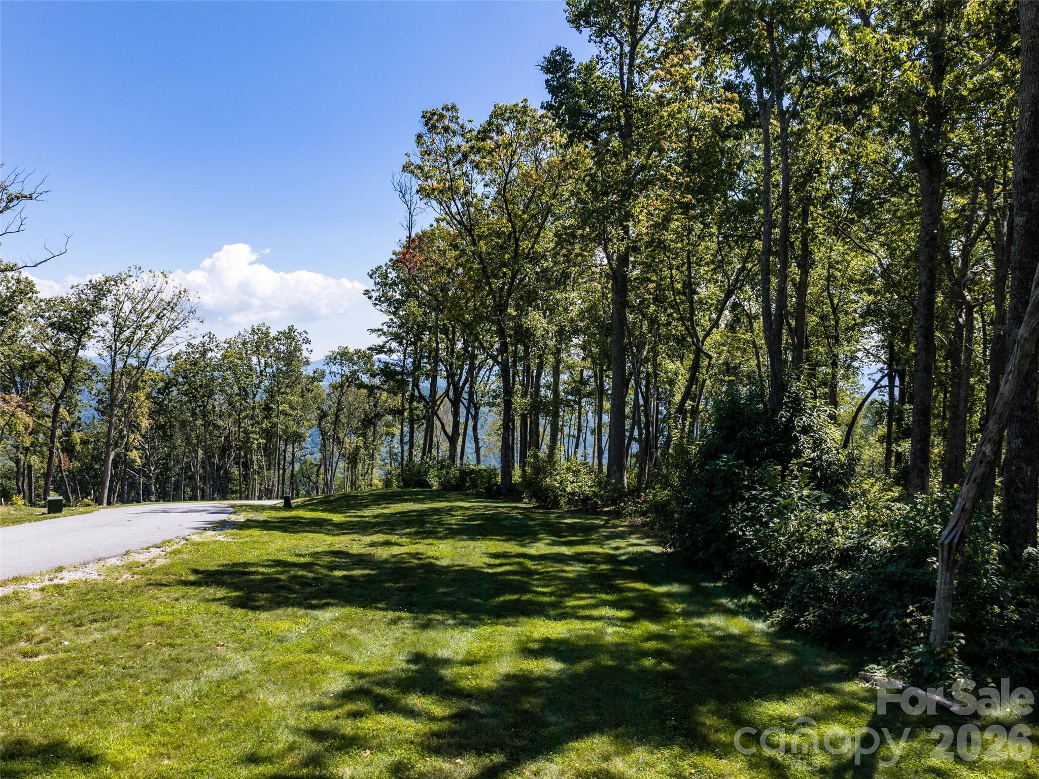 flat topography - 462 E Garden Trail, Hendersonville