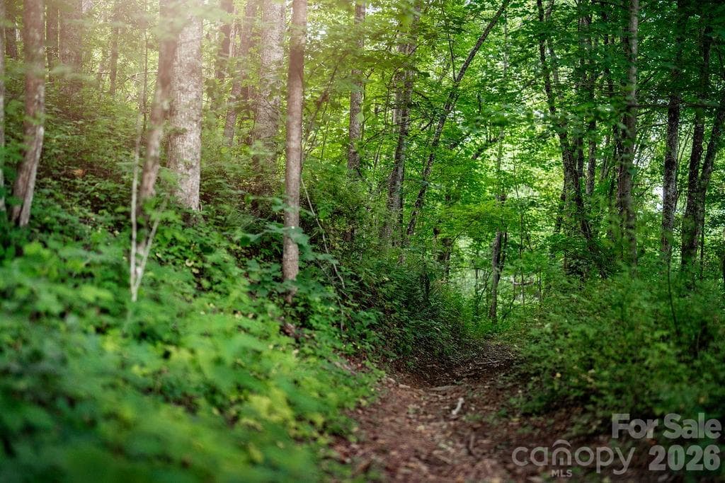 Hiking trails on property - 462 E Garden Trail, Hendersonville