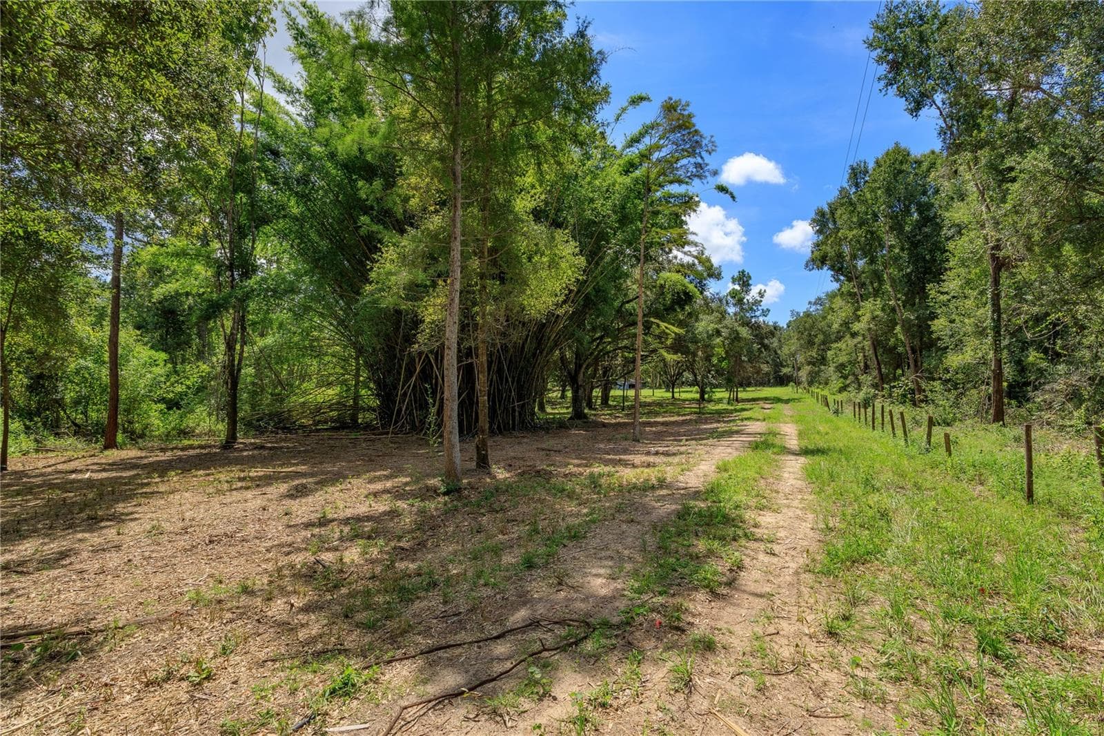 Land at 22406 BELGARD LN, ASTATULA, photo 2 of 8
