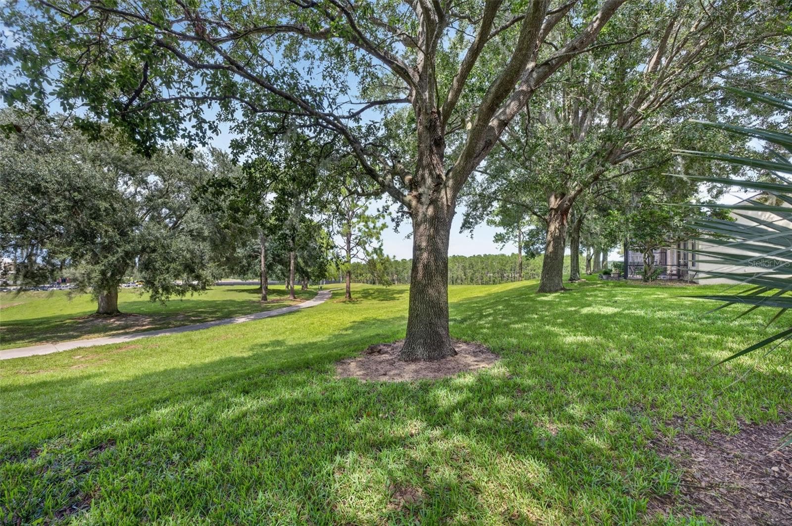 Single Family Residence at 3850 BEACON RIDGE WAY, CLERMONT, photo 32 of 41