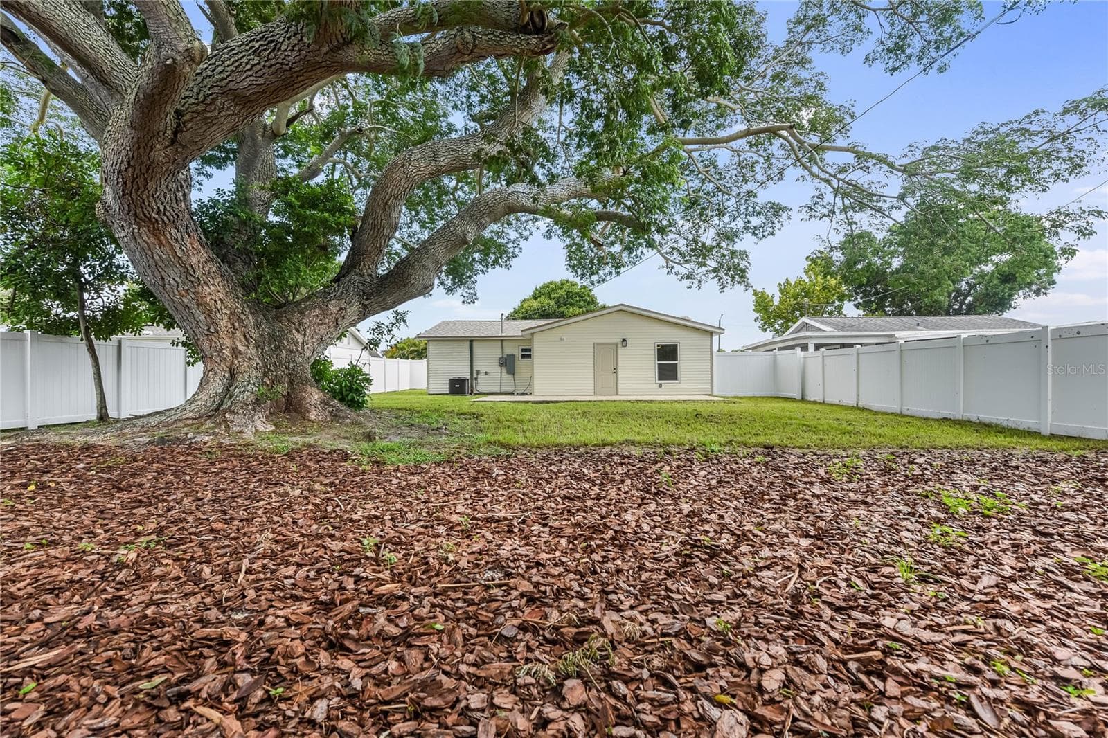 Backyard - 7851 40TH AVE N, ST PETERSBURG