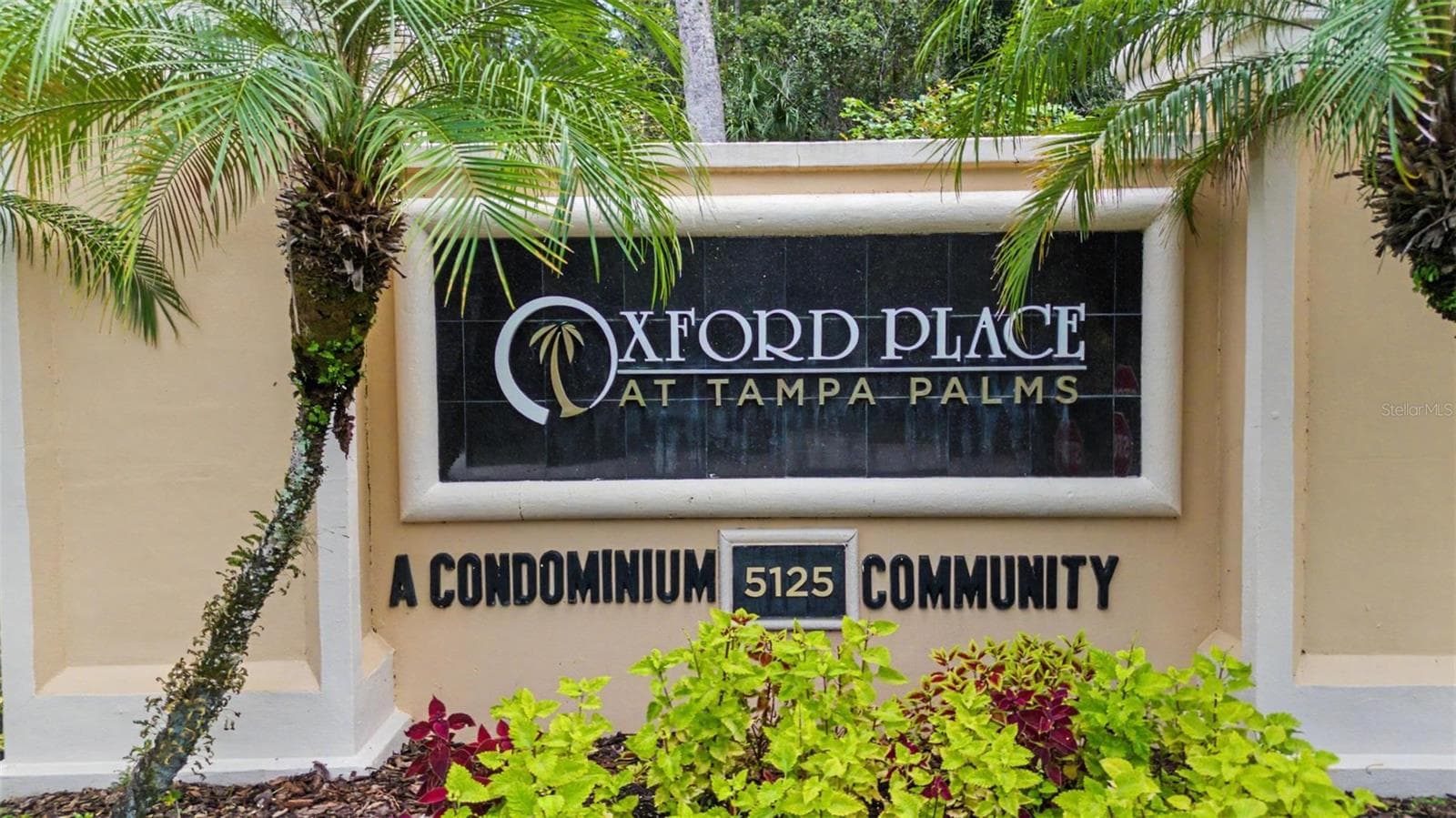 Condominium at 5125 PALM SPRINGS BLVD #6107, TAMPA, photo 35 of 46