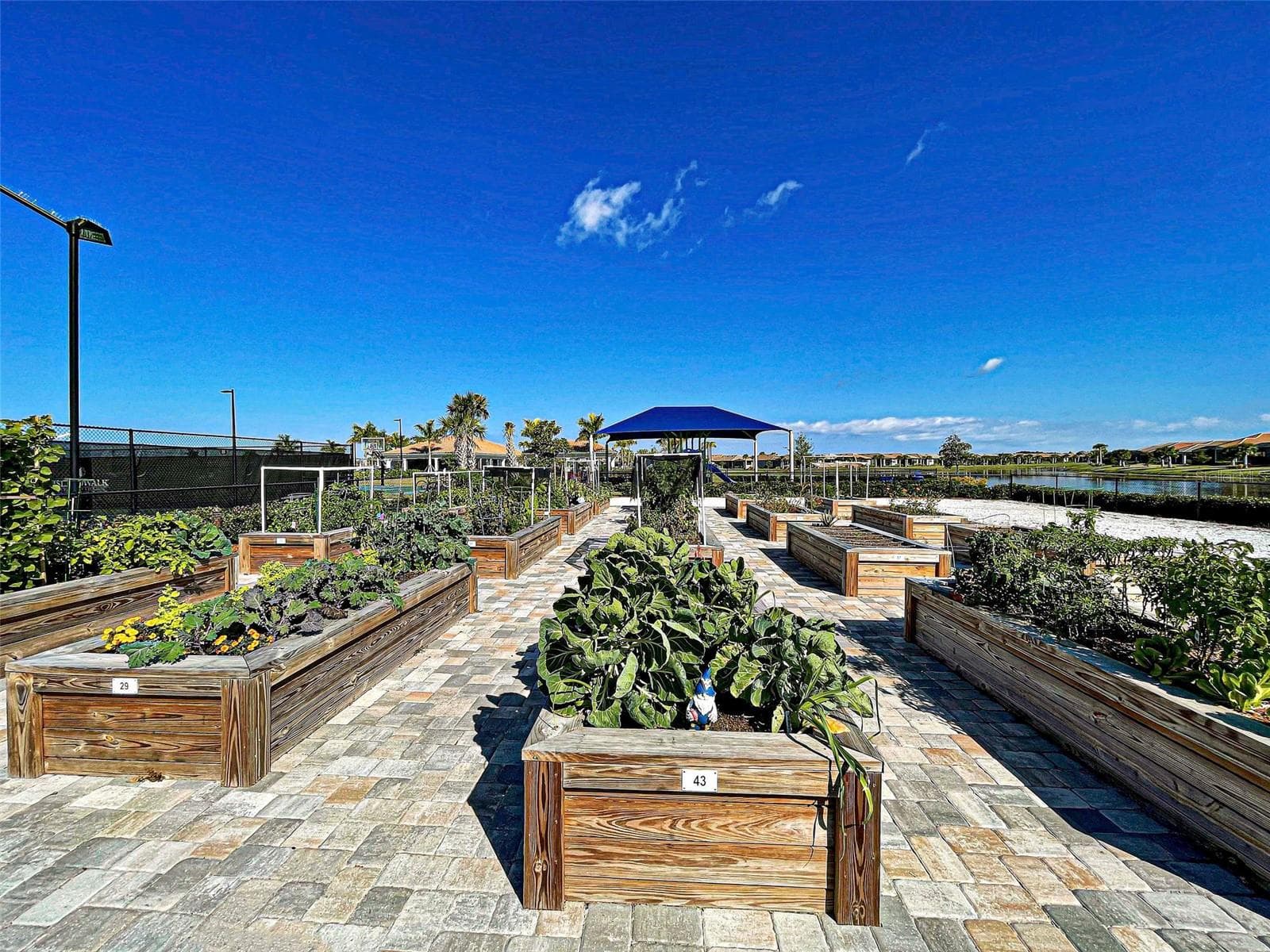Community garden - 13825 KARINA ST, VENICE