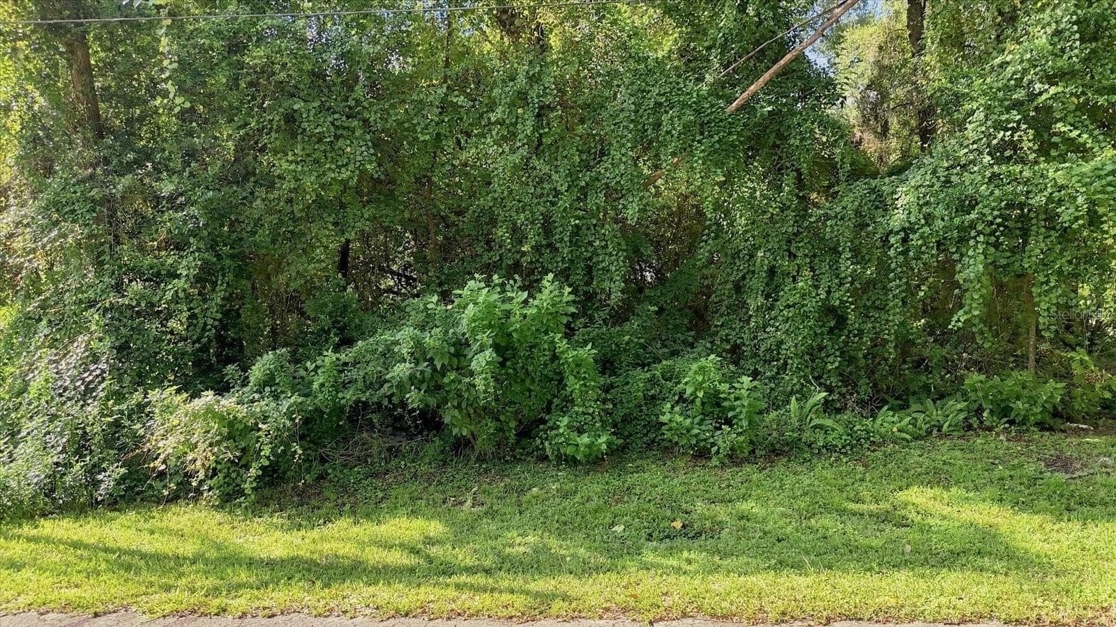 Land at 6136 E RECTOR ST, INVERNESS, photo 4 of 13