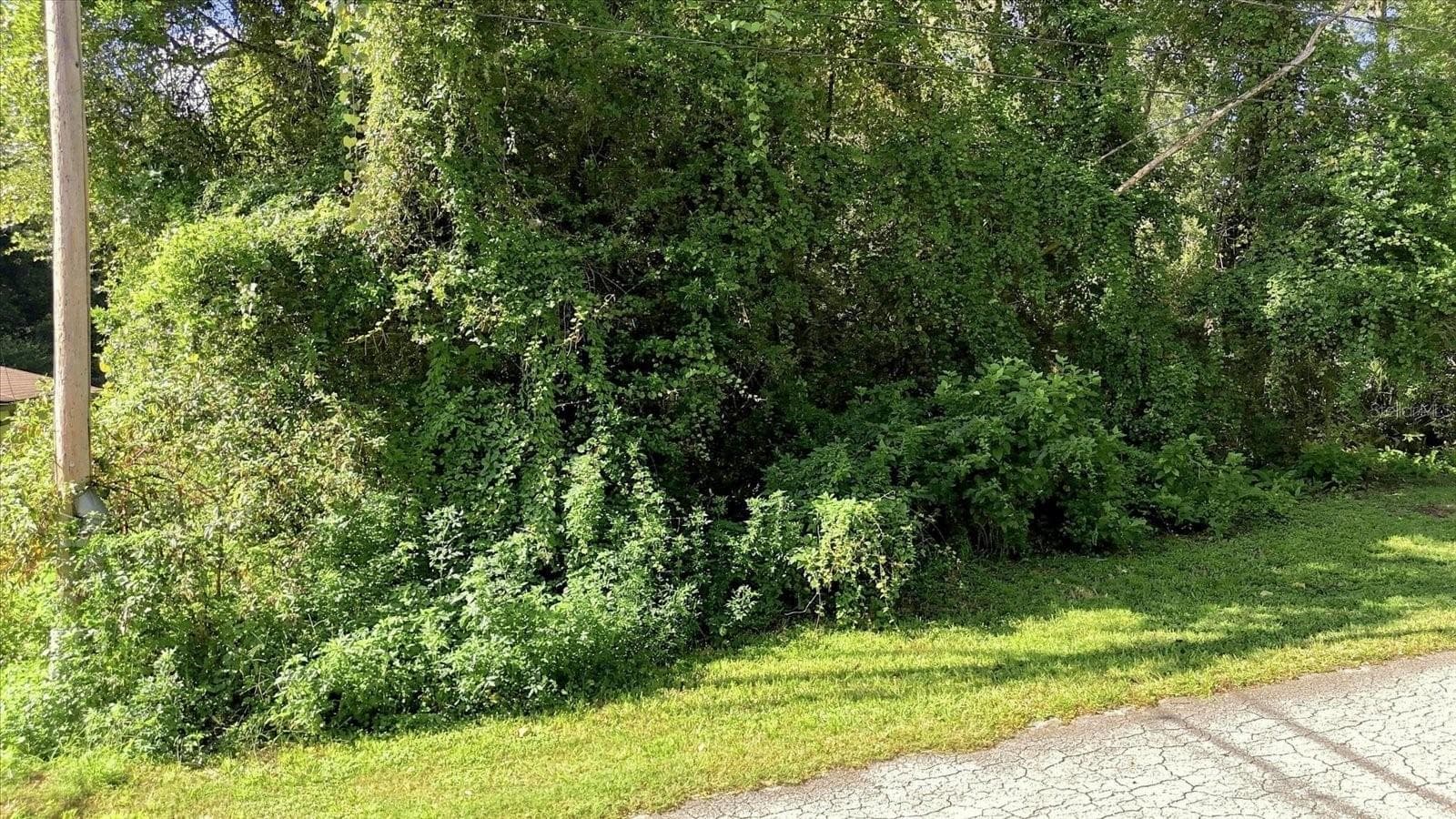 Land at 6136 E RECTOR ST, INVERNESS, photo 5 of 13