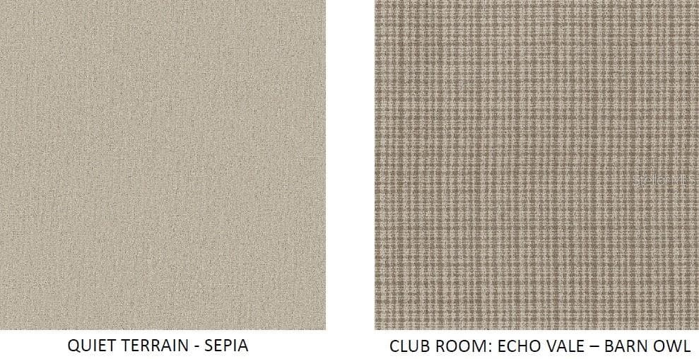 Selected carpet options - 11790 BLISSBY ST, VENICE