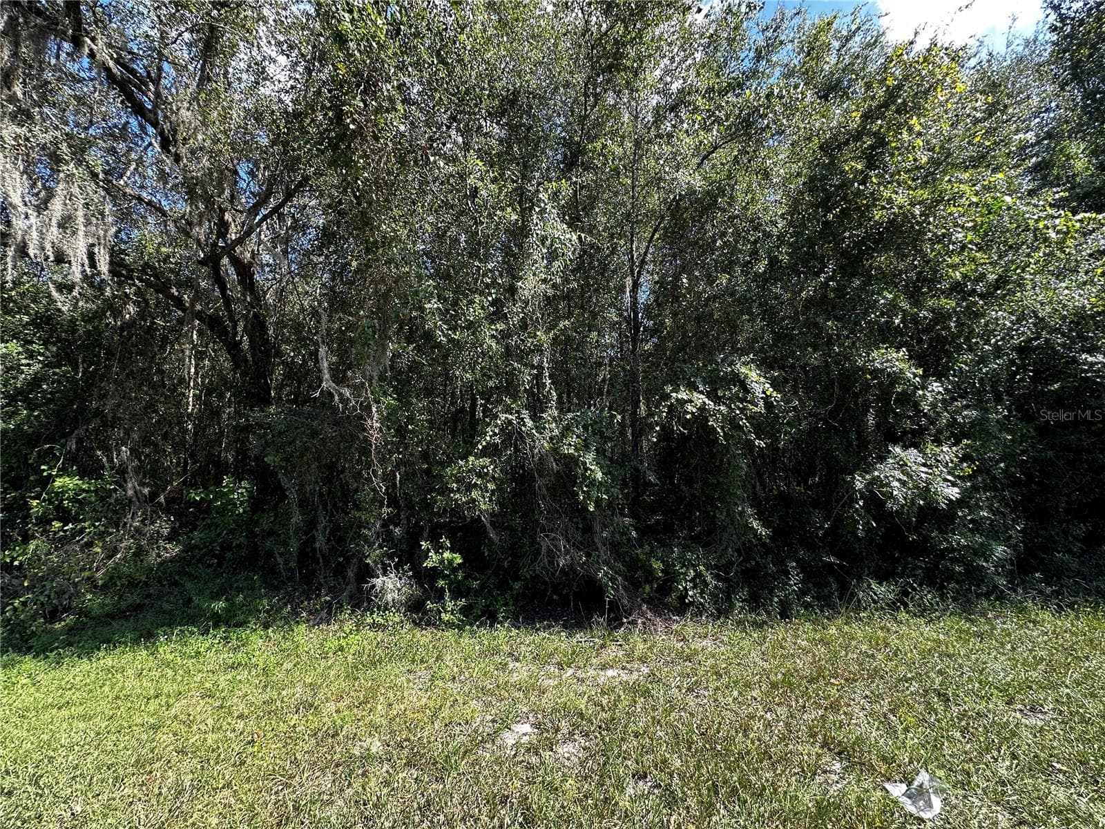 Land at 0000 NE WALDO RD, GAINESVILLE, photo 7 of 14