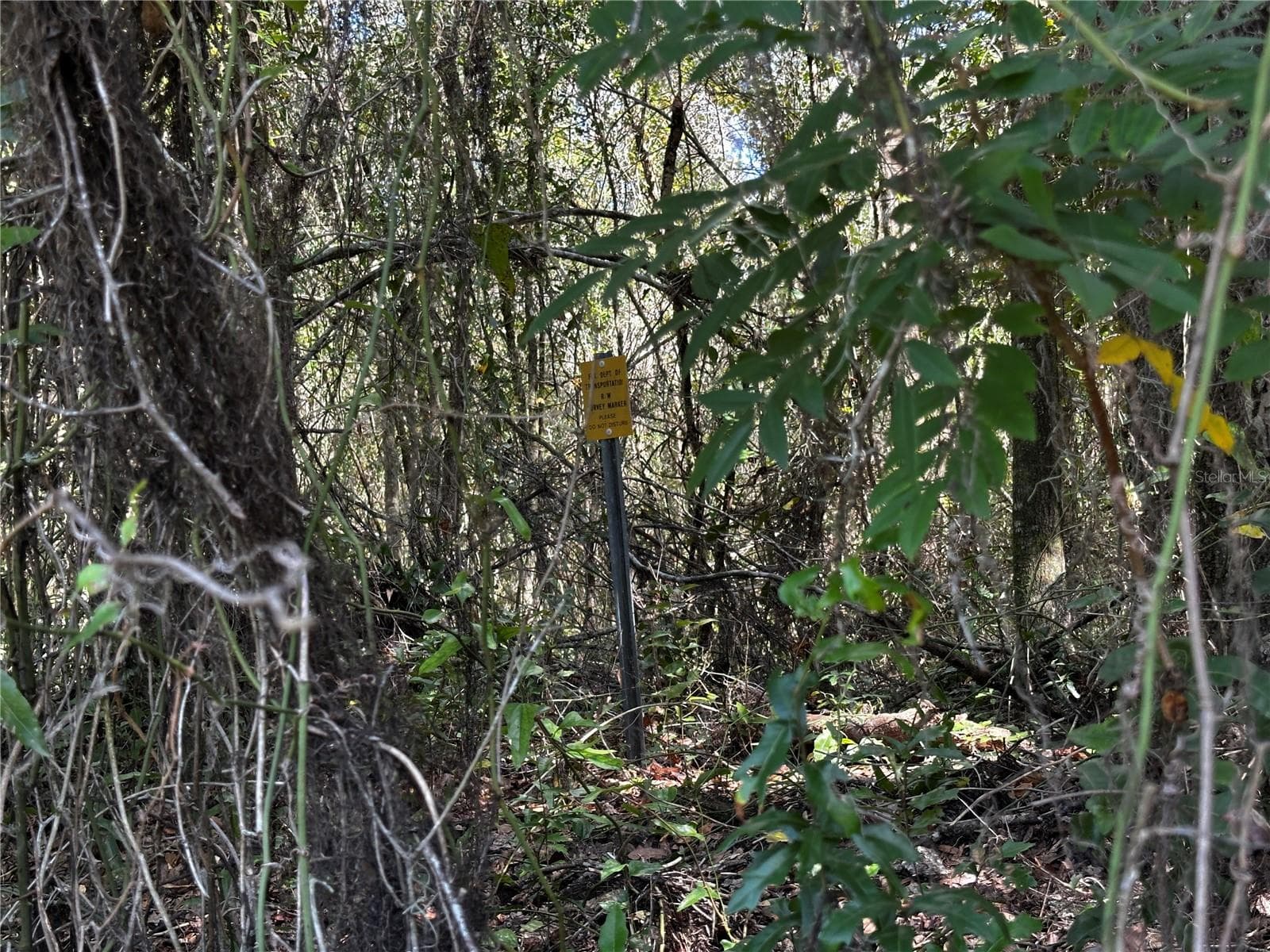 Land at 0000 NE WALDO RD, GAINESVILLE, photo 12 of 14