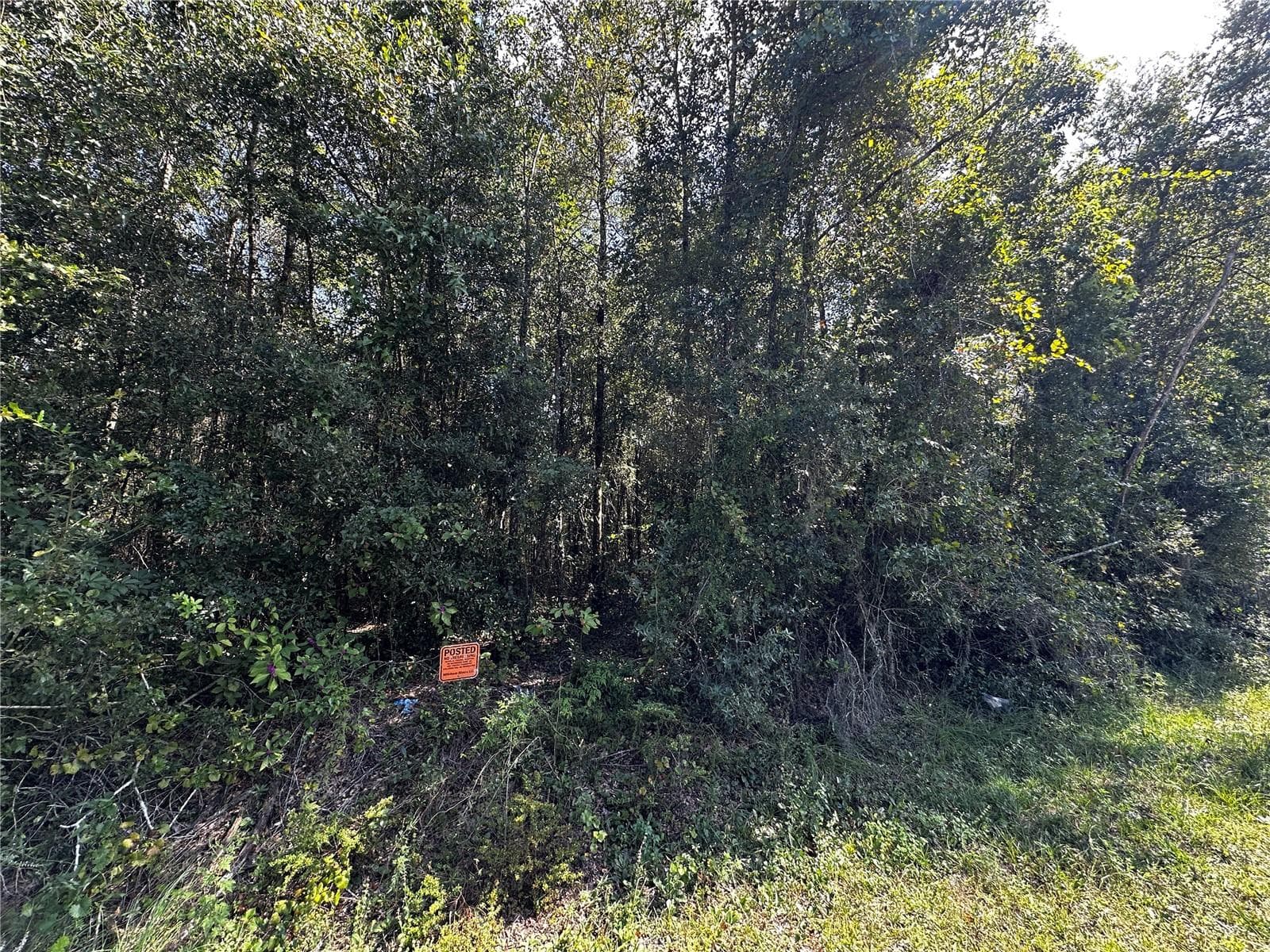 Land at 0000 NE WALDO RD, GAINESVILLE, photo 14 of 14