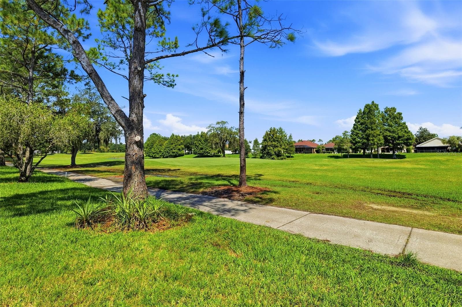 Single Family Residence at 23821 CORAL RIDGE LN, LAND O LAKES, photo 35 of 41
