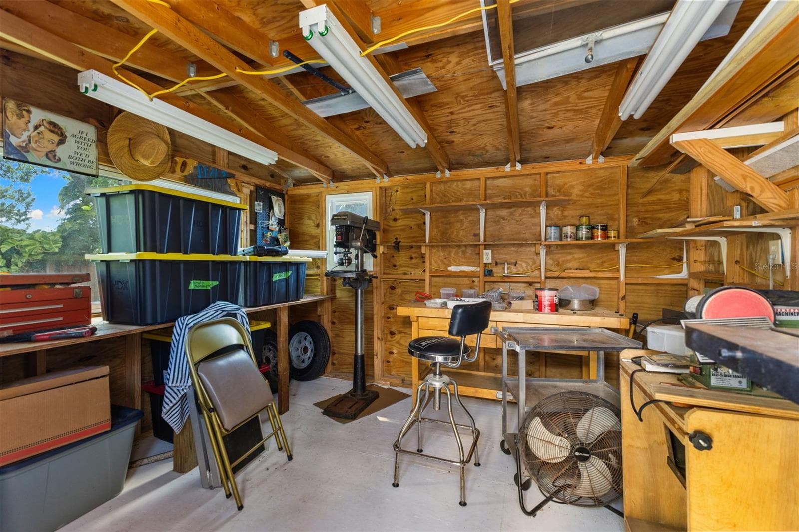 Shed - 2287 CAROLYN DR, DUNEDIN