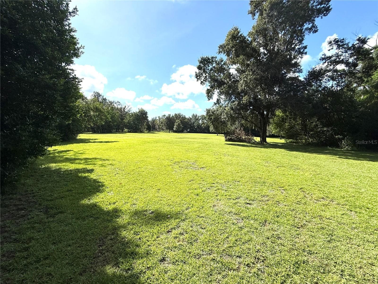 pathway to south half of the property - 380 MOALE RD, BROOKSVILLE